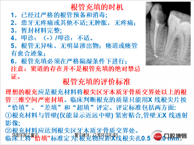 根管再治疗与根尖手术7.png