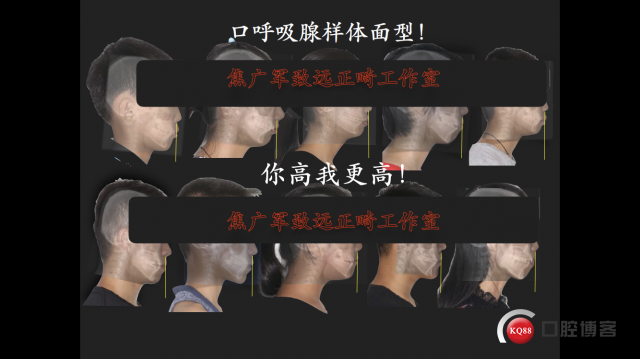 IMG_9948.PNG