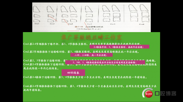 IMG_9961.PNG