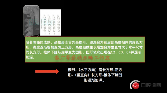 IMG_9962.PNG