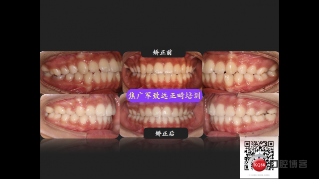 IMG_4116.PNG