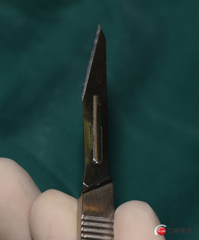DSC_9453_副本.jpg