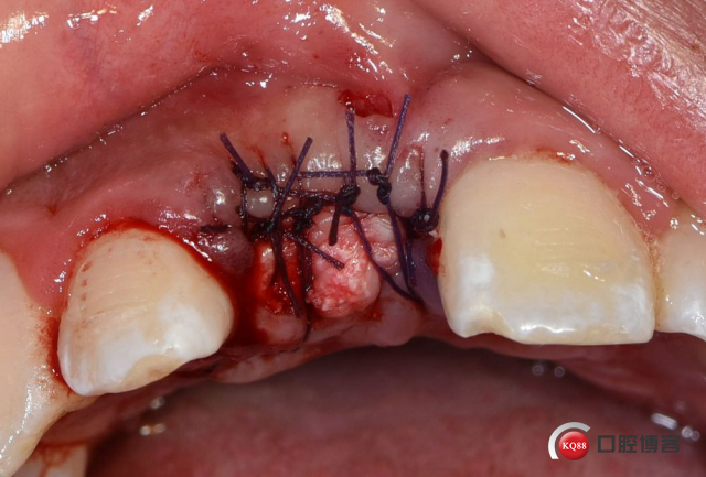 DSC_6474_副本.jpg