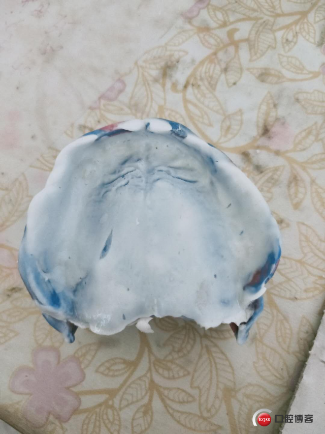 1557322783_969939.jpg