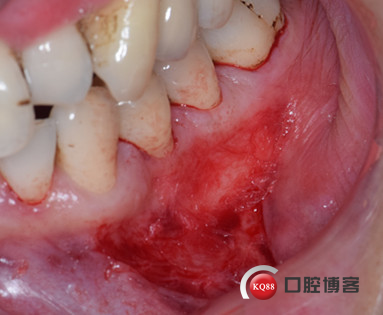 DSC_0777_副本.jpg