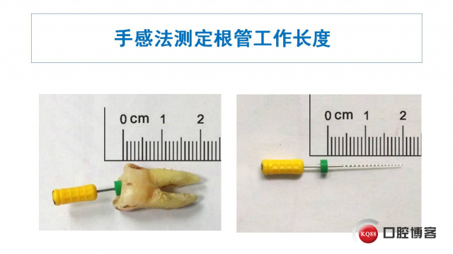 幻灯片11.JPG