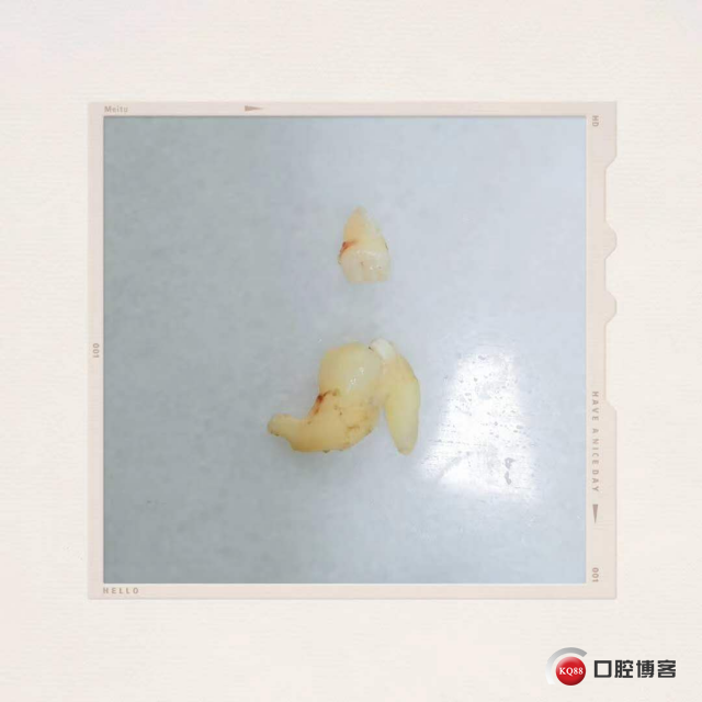 图片9.png