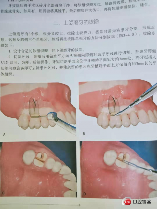 cef97d6d2829eaef9f0c936ae071219.jpg