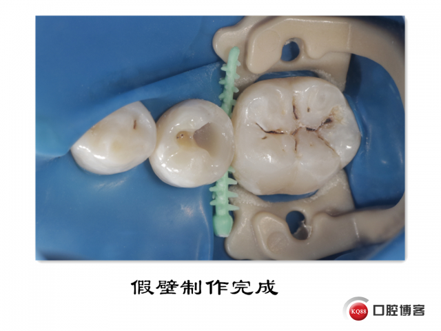_MG_5054_副本_副本.jpg