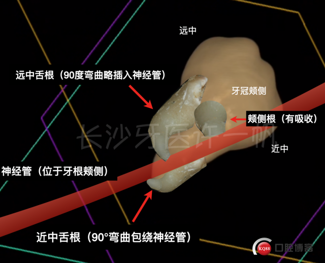 截屏2023-02-22 15.49.51.png