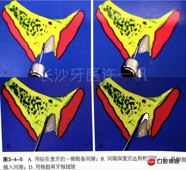 截屏2023-03-08 15.47.09.png