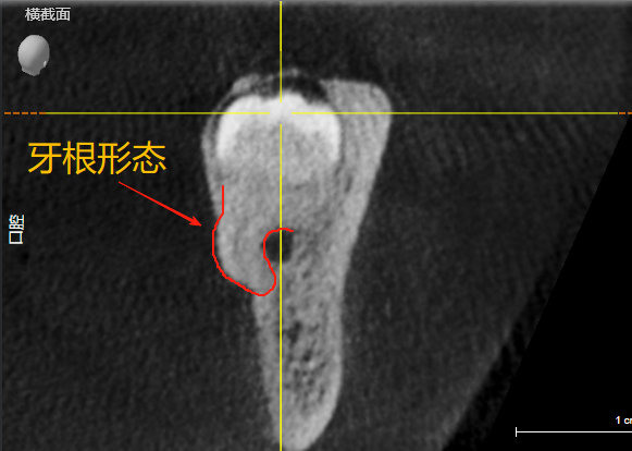 1755508586_714150.bmp