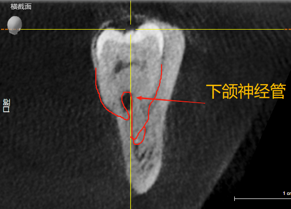 1755508587_471350.bmp