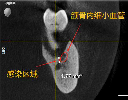 1755508587_850402.bmp