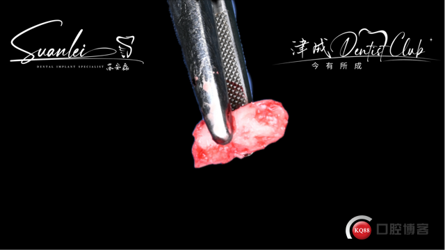 1770621054_334725.png image.png