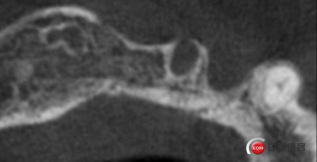 1770621539_554364.png image.png