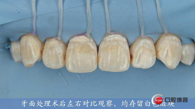 1771748067_517799.jpg